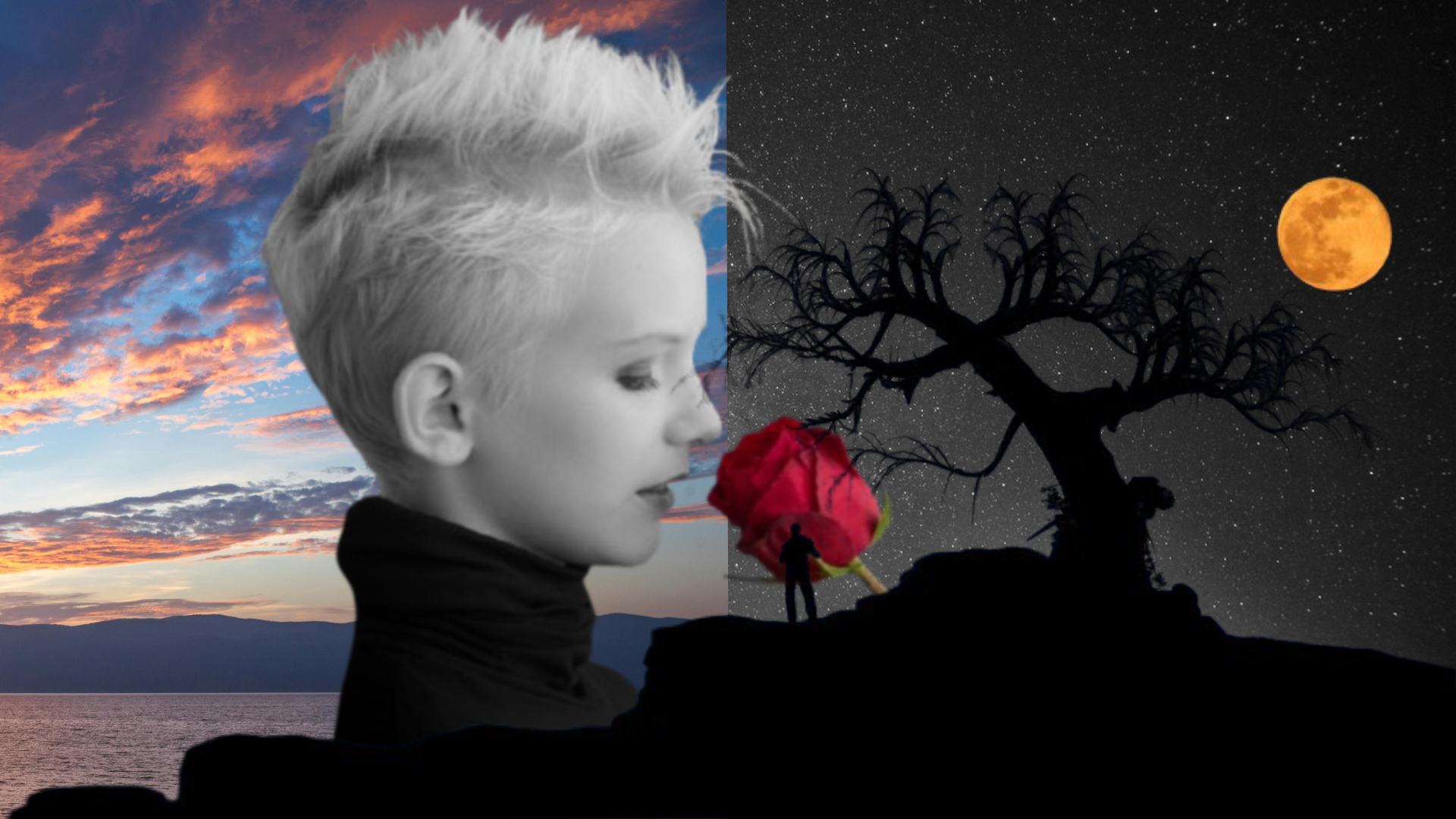 Proyecto Noche y Día